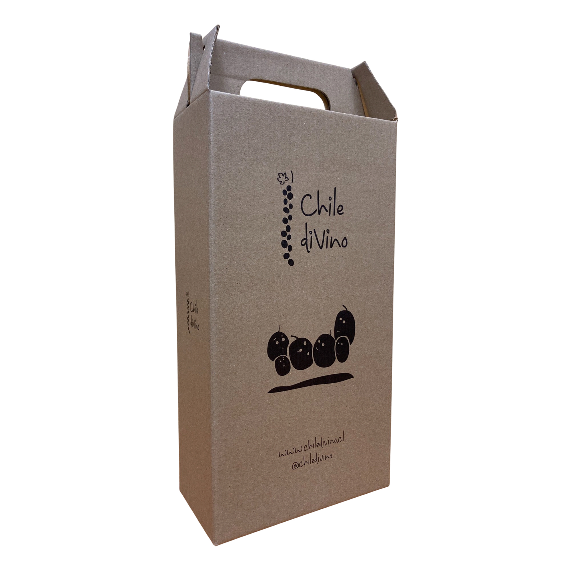 Maleta para 2 vinos