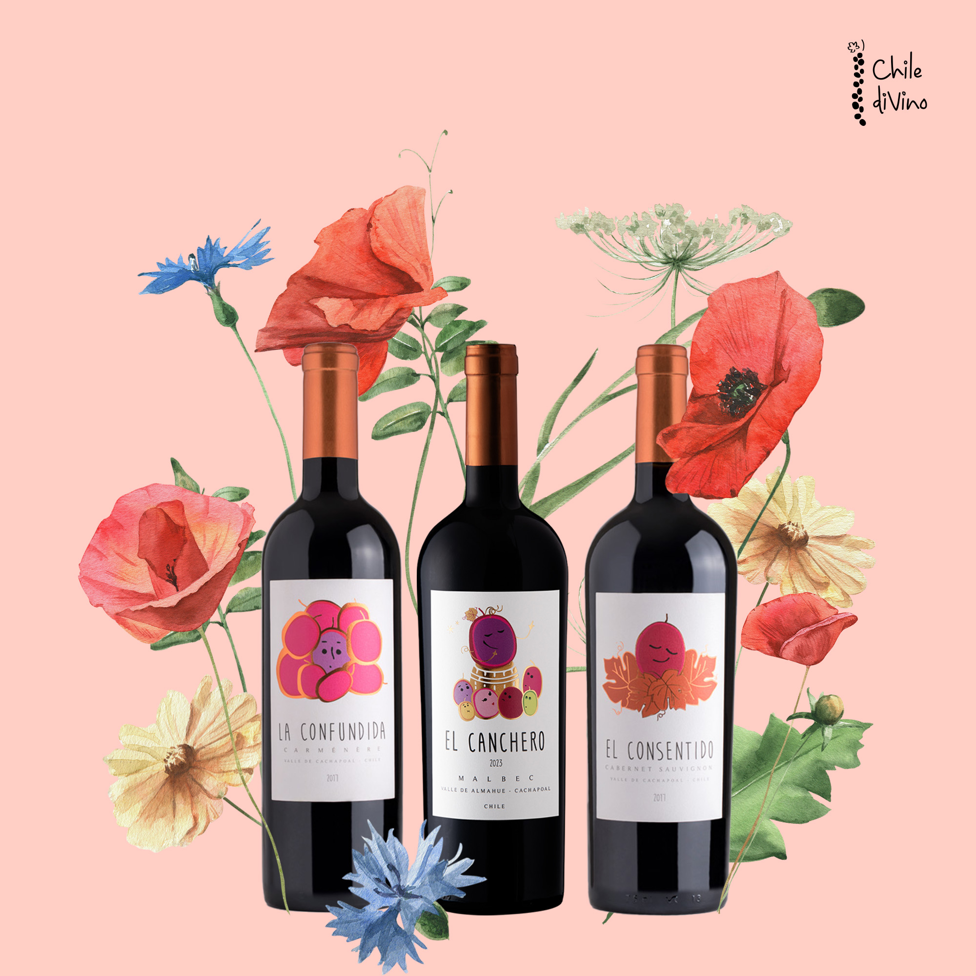 La Confundida, El Consentido, El Canchero.