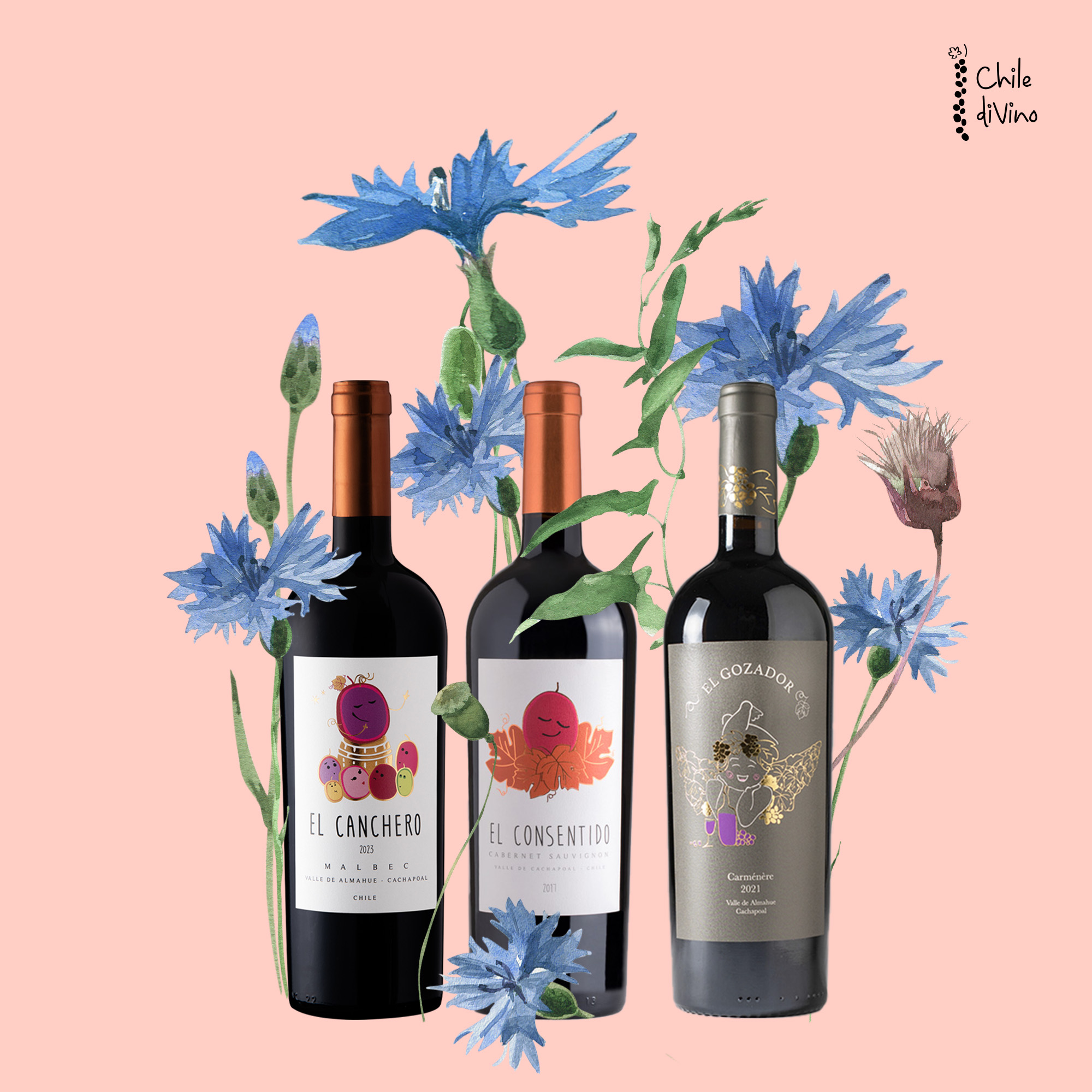 El Canchero, El Consentido, El Gozador.