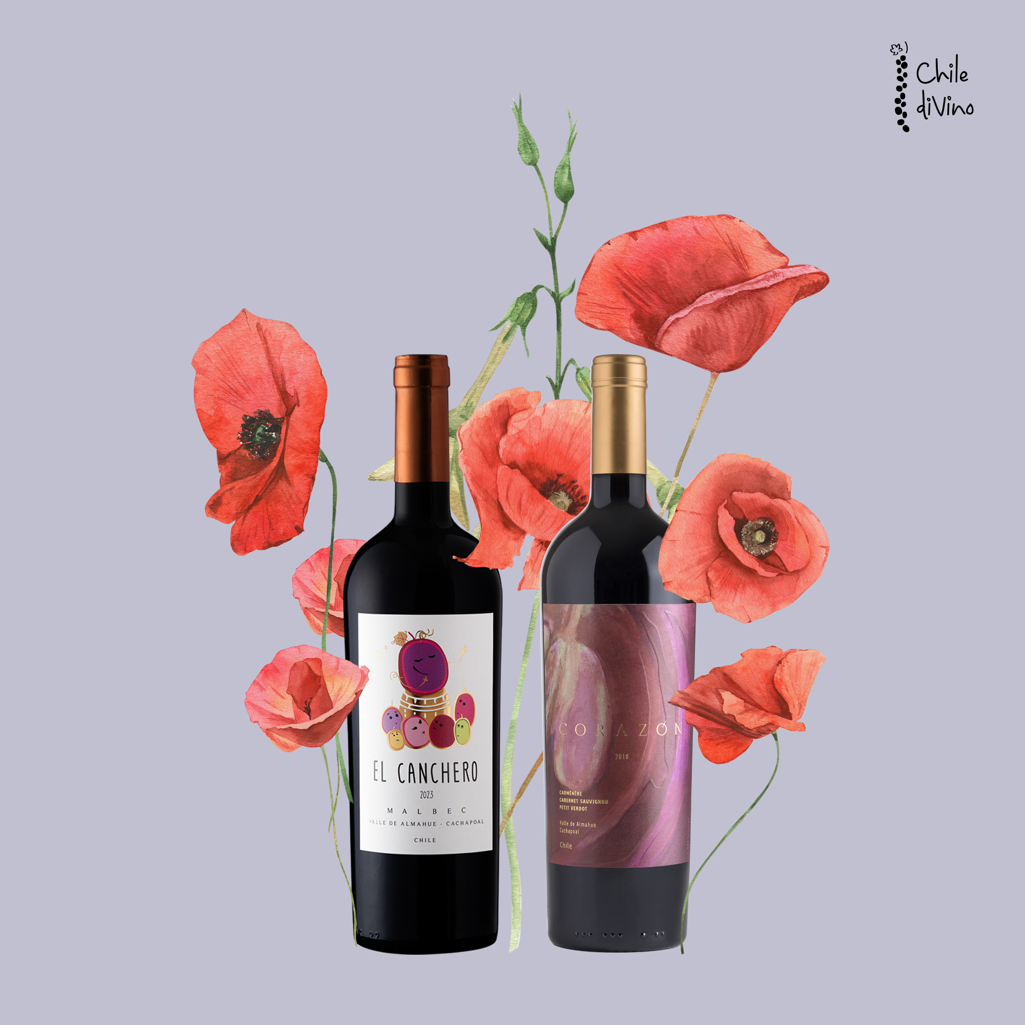 Corazón, El Canchero